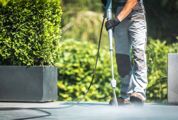 Boat and Dock Cleaning in Emerald Lake Hills, CA